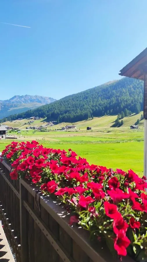 Chalet Da Florin Livigno 0*,  Itálie