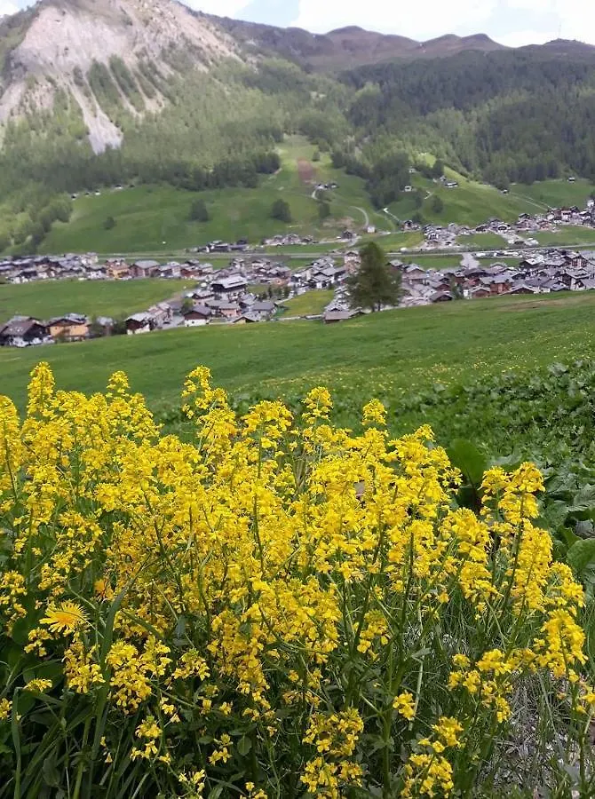 Chalet Da Florin Livigno